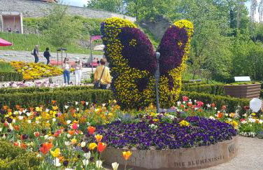 Ferienwohnung-Wald - Foto 40