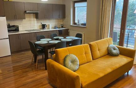 Adlerek Krynica - Foto 2