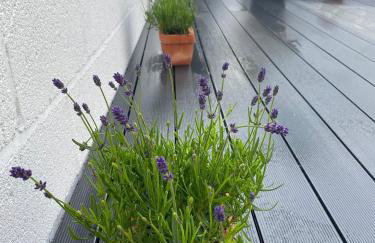 South Devon Holiday Retreat - Entire House - Family & Pet Friendly - Foto 18