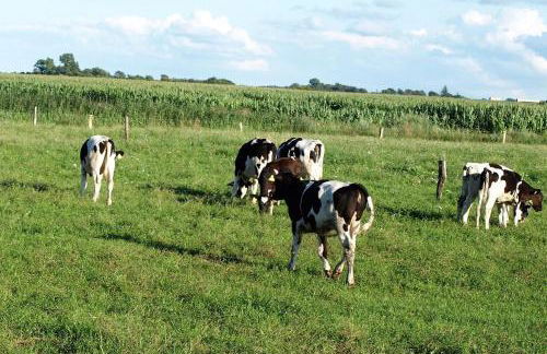 Ferienwohnung Diek - Foto 19