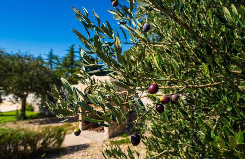 My Dalmatia - Holiday home Emily with private pool - Foto 24