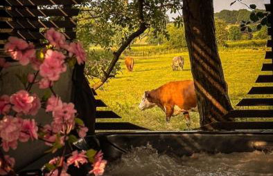 ADULT ONLY relax escape apartment hottub - Foto 8