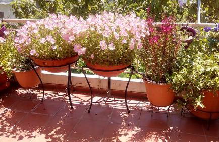 Cozy Maisonette - Foto 73