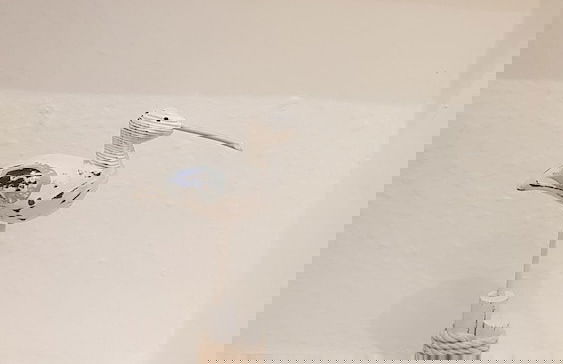 Patacake Cottage Teignmouth - Foto 24