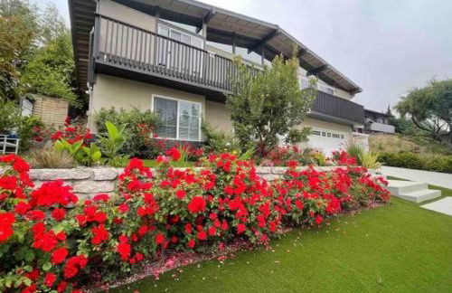 Spacious and Exclusive Oasis 6BR 3BA - Photo 2