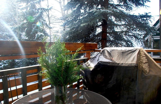 Sagewood Condos by iTrip Aspen Snowmass - Foto 15