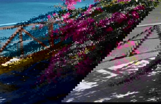 Panorama beach - Photo 24