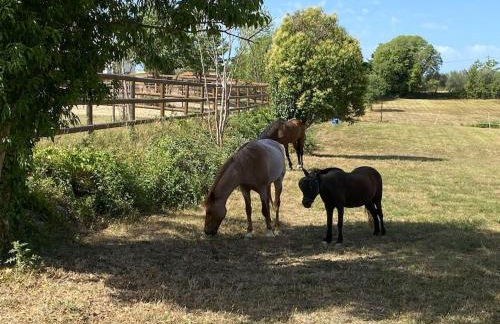 La Bastide de Jean Maison de charme dans un domaine equestre privé - Foto 46