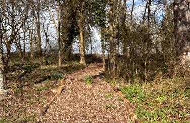 Cosy Rural Apartment - Foto 19