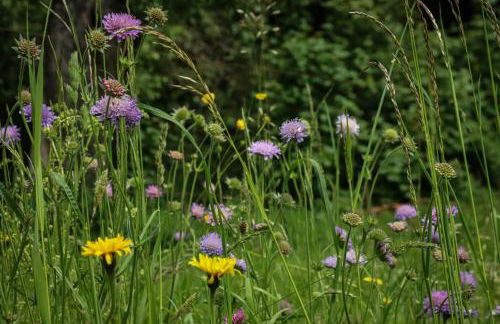 Schwarzwald Escape - Foto 15