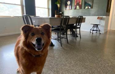 The Holler - Foto 20