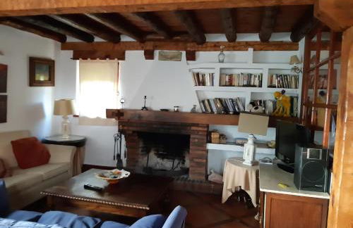 La cerca de la Mata, decerca - Foto 25