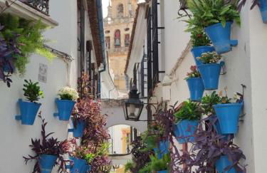 El Capricho de San Fernando, Consigna gratis y Parking a 200mts - Foto 73