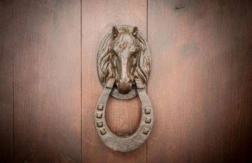 La casa del escudo - Foto 6