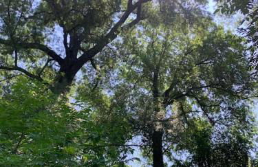 Maison en Provence La Cascatelle 6-8 pers - Foto 11