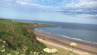 Dunnottar Woods Cottage - Photo 2