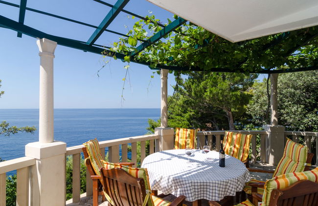 Plavac Mali - Photo 2