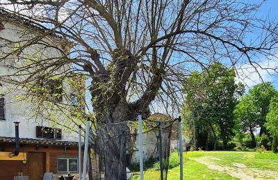 La Cascina di Muttley - Foto 50