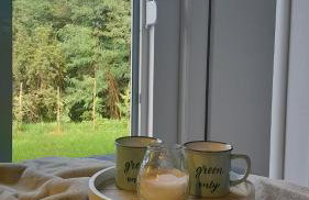 Vila Green Silence - Photo 71