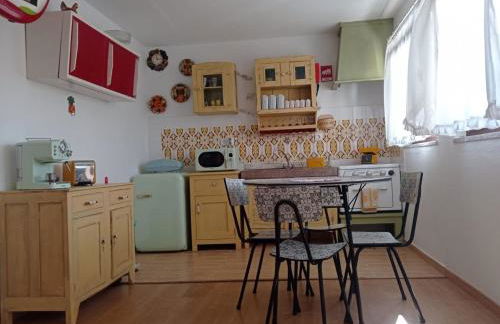 Gerês e Cabreira - Romoa Vintage Guest House - Foto 23