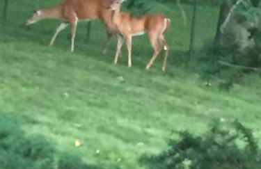 Home Sweet Home - Foto 27