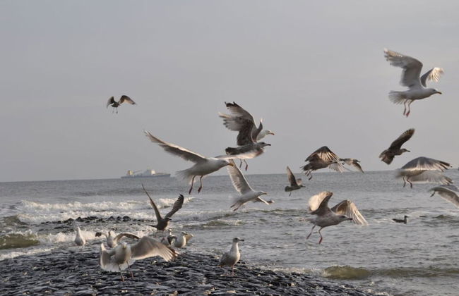 Strandfleh Modern Retreat - Foto 8