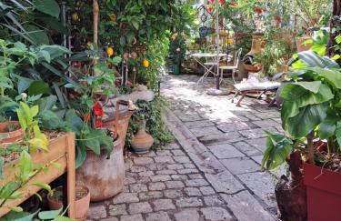 Terra-Crystal - Foto 67