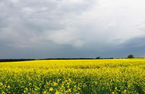 Idyllisches Ferienhaus in ruhiger Lage - Foto 28