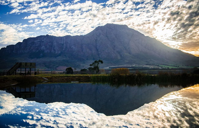 Reflections Guest Farm - Photo 73