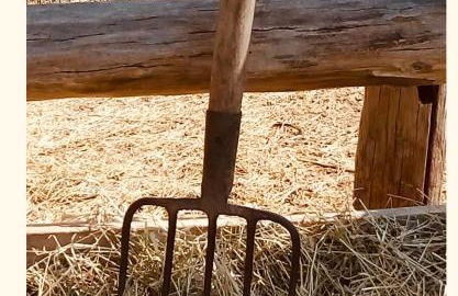 Cascina Burroni - Foto 43