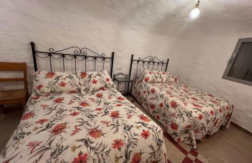 Casa -Cueva Paraje De Los Majuelos - Foto 23