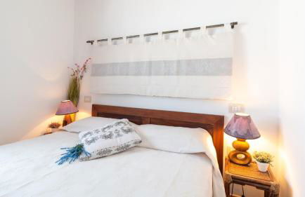 Stella del Nord - Pistis - Foto 15