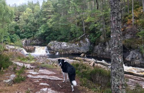 Rosemount Bothy - Highland Cottage - Foto 31