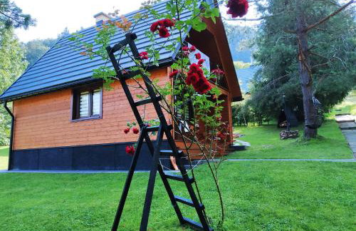 Reset Bieszczady - Foto 44