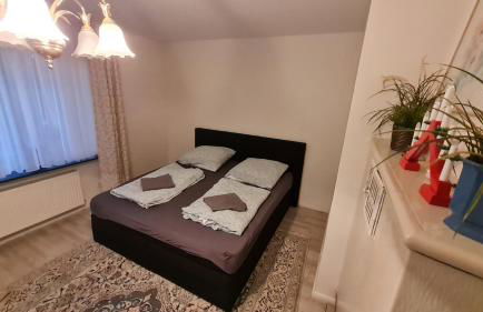 Business Apartment nähe Bonn 2 SZ - Foto 12