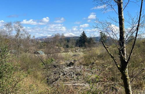 Red Squirrel Pod with Hot Tub - Foto 47