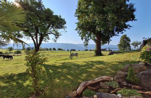 Tobel Lounge - Foto 3