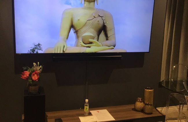 Urban Elephant 16 on Bree - Foto 38