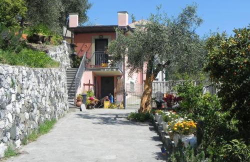 azienda agricola zulin casa elena - Foto 6