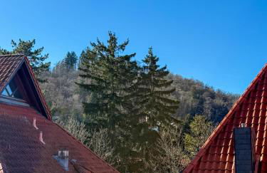 Casa Kronberg - Foto 34