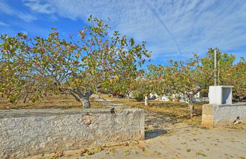 Tzitzi Pistachio Villa - Foto 40