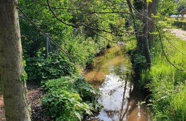 Alte Goldschmiede Südpfalz - Foto 54