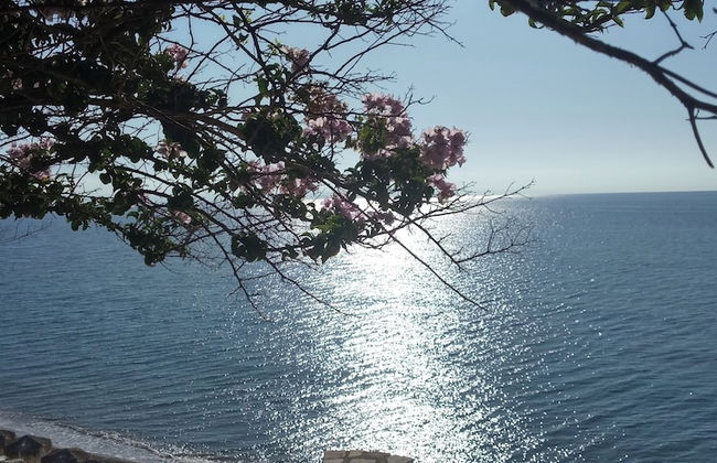 Panorama beach - Photo 45