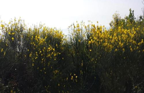 Apartment in Liguria Near Toirano Caves - Foto 47