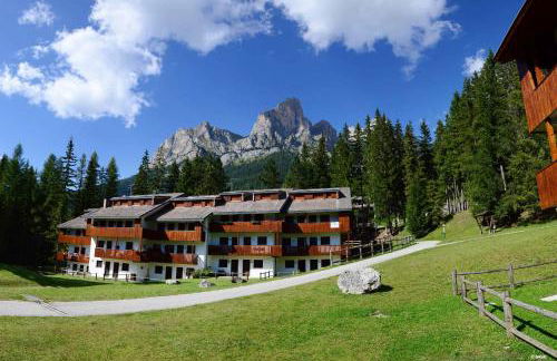 Petit Arnica - Foto 9