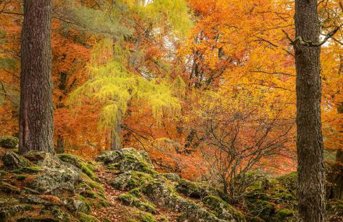 Finca La Machota Centro de Naturaleza - Foto 61