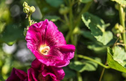 Residence Lärchenhäusl - Foto 76