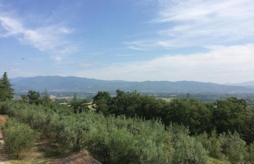 La casina del Poggio - Photo 33