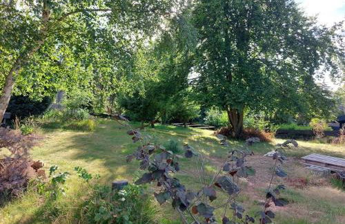 Große, helle Wohnung mit sonnigem Balkon - Photo 18