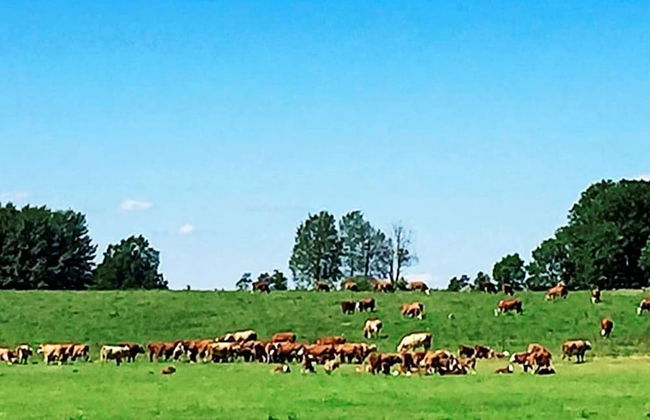 6 Person Holiday Home in Loftahammar - Photo 6